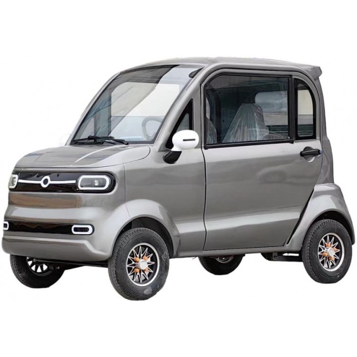 Elektrinis mini automobilis FL-09 1Kw 58AH 60v 